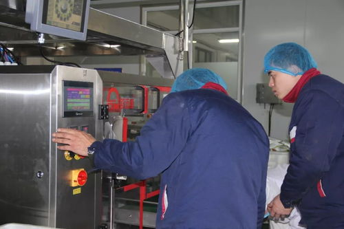遵化这家企业产品卖得超火爆 冷链技术研发引领福利新风尚