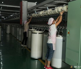 广西钦州保税港区 加工贸易零的突破与冷链技术研发新篇章
