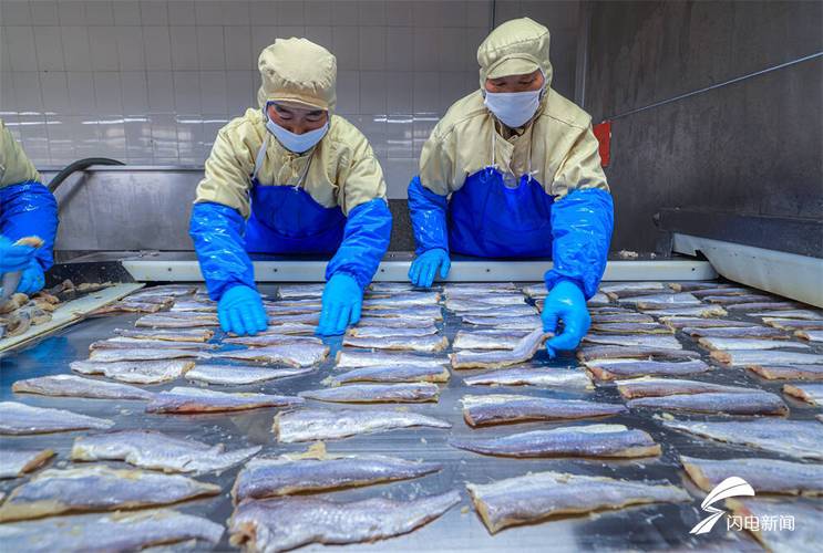 以冷链物流园区为载体，驱动食品加工企业高端化与技术创新双轮升级